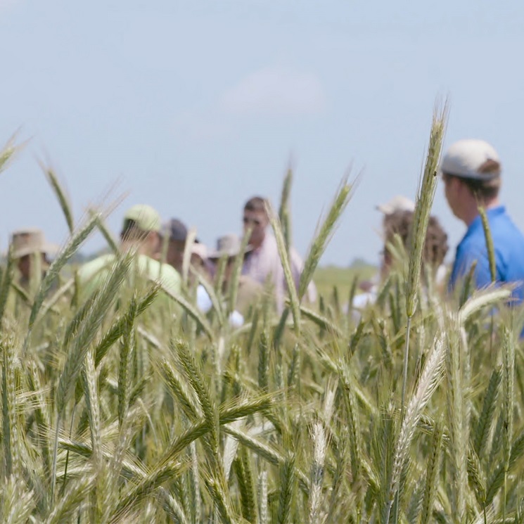 Brown-Forman Sustainability farmers