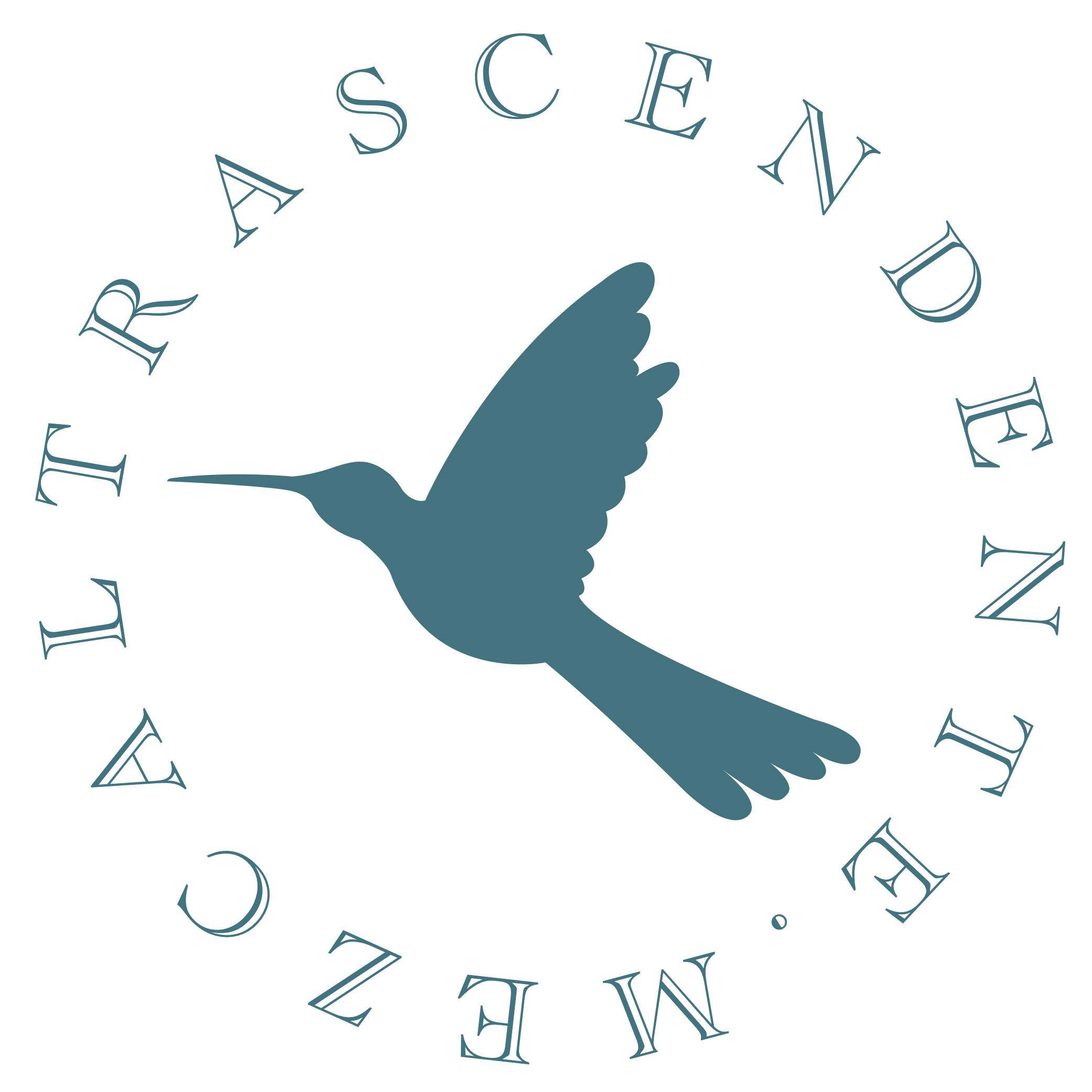 Trascendente Mezcal logo